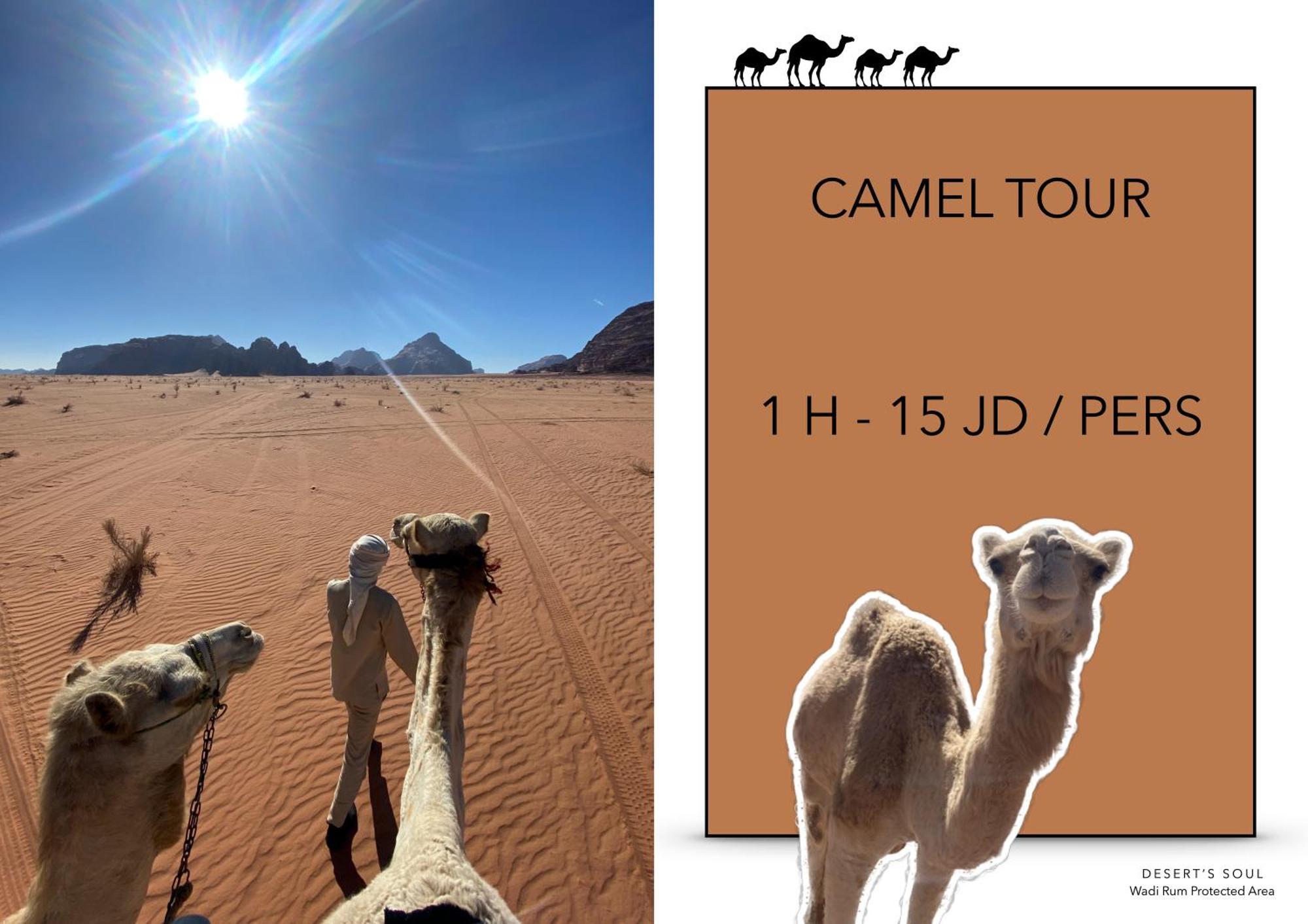 Desert'S Soul Wadi Rum Ad Disah ภายนอก รูปภาพ