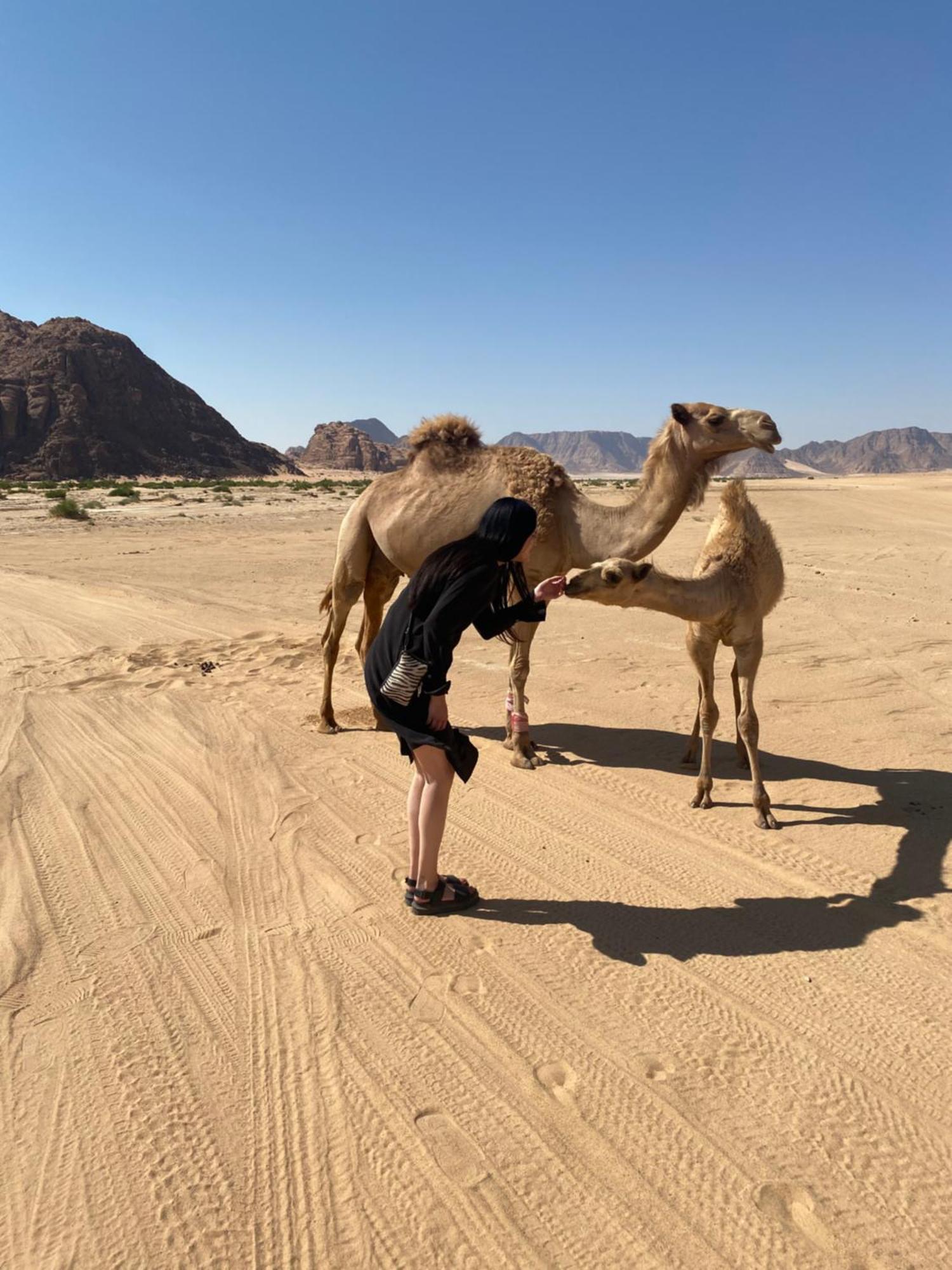 Desert'S Soul Wadi Rum Ad Disah ภายนอก รูปภาพ